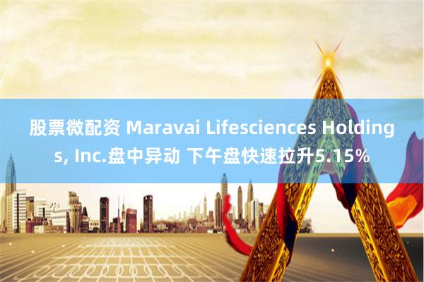 股票微配资 Maravai Lifesciences Holdings, Inc.盘中异动 下午盘快速拉升5.15%